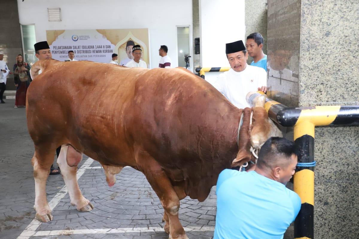 Menteri Trenggono Sholat Ied Bersama Pegawai dan Kurban Sapi Simental 1,2 Ton