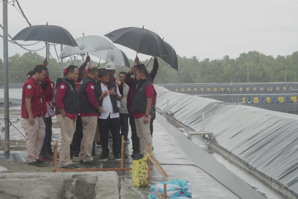 Menteri Trenggono melihat langsung masa panen tambak budidaya udang berbasis kawasan (BUBK) di Kebumen, Jawa Tengah