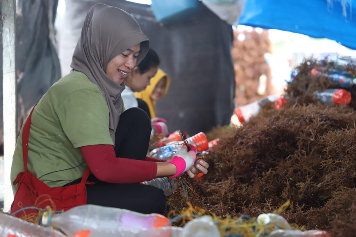 Menteri Kelautan dan Perikanan Sakti Wahyu Trenggono mengunjungi kampung budidaya Mamolo di Kabupaten Nunukan, Kalimantan Utara