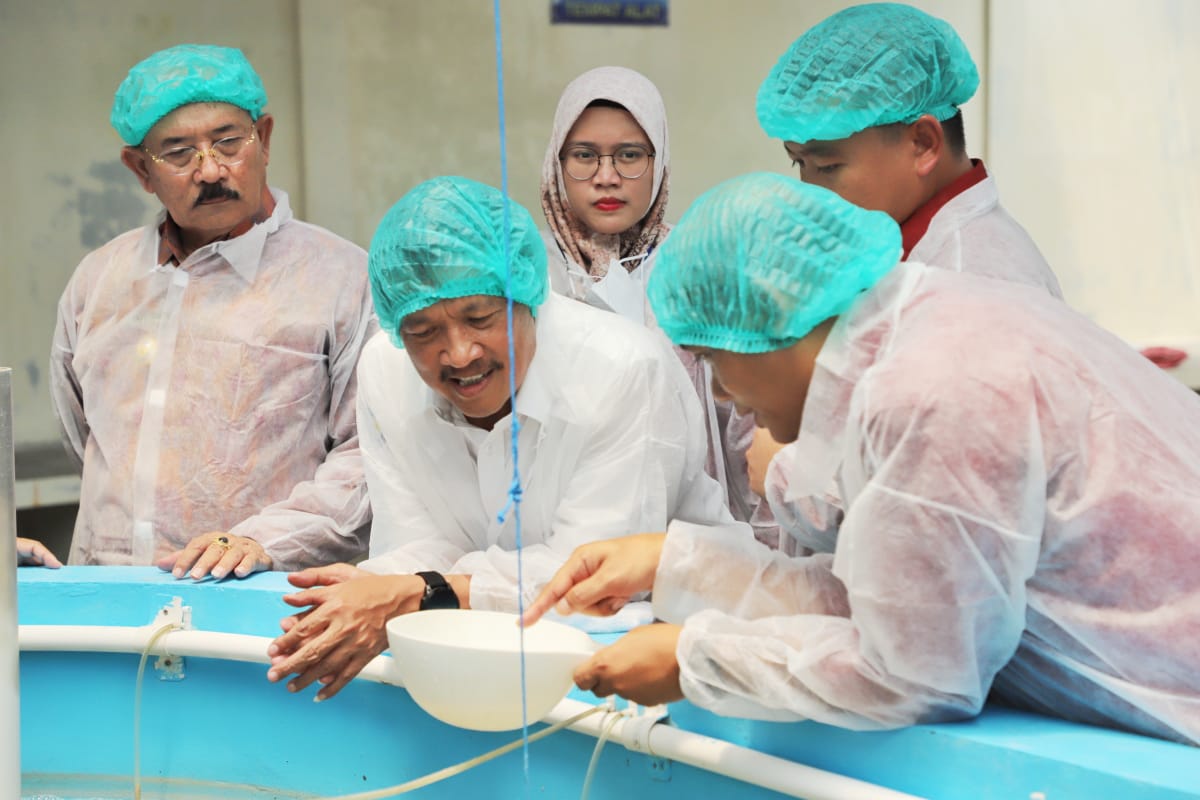 Menteri Sakti Wahyu Trenggono kembali mengunjungi Balai Produksi Induk Udang Unggul dan Kekerangan (BPIU2K) yang merupakan unit kerja Ditjen Perikanan Budidaya di Karangasem, Bali