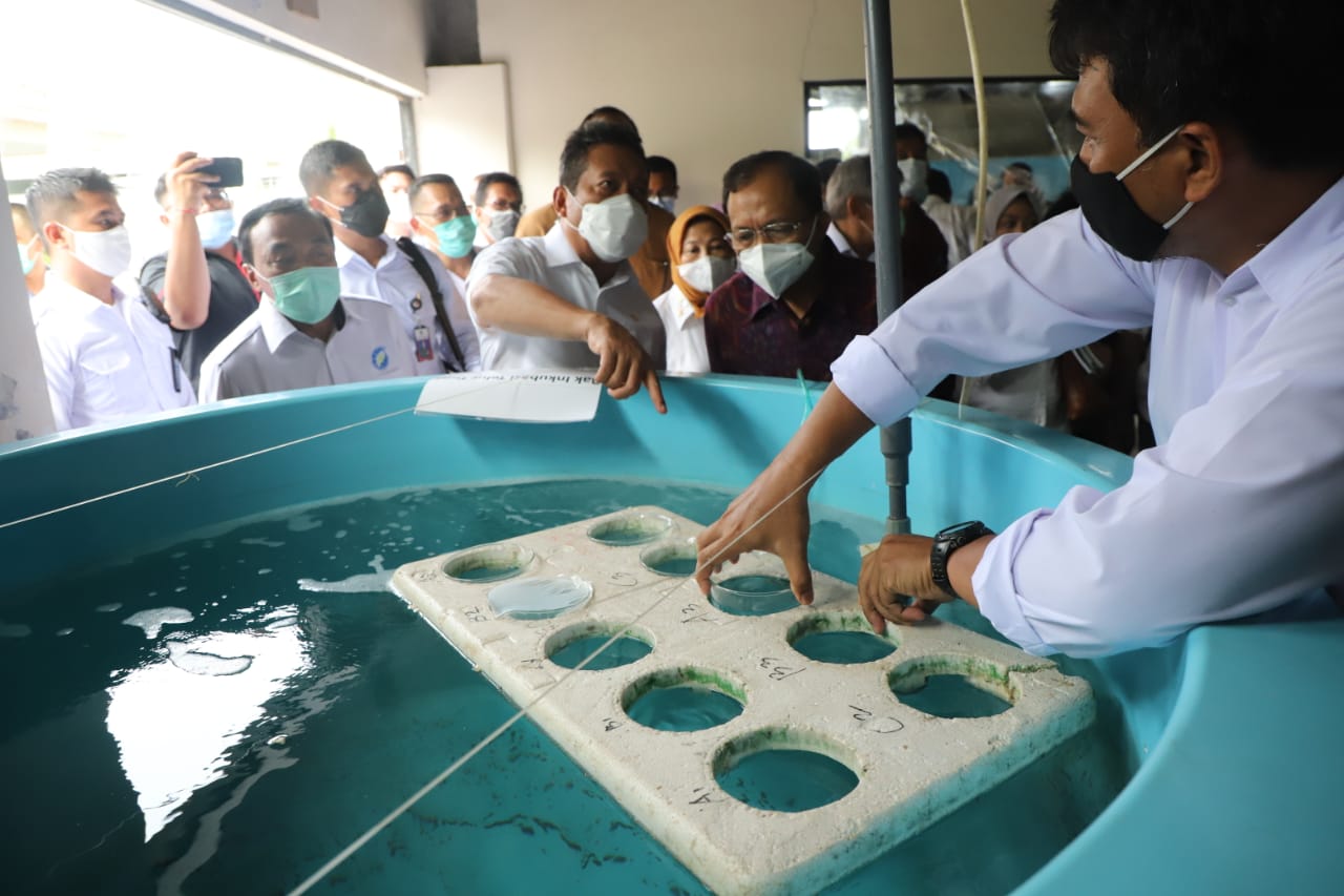 Menteri Kelautan dan Perikanan Sakti Wahyu Trenggono meninjau fasilitas berupa laboratorium, Hatchery Kerapu, Kakap, Lobster, Abalon, Teripang di Balai Riset Perikanan Budidaya Gondol Penyabangan, Gerokgak, Kabupaten Buleleng, Bali (20/1).