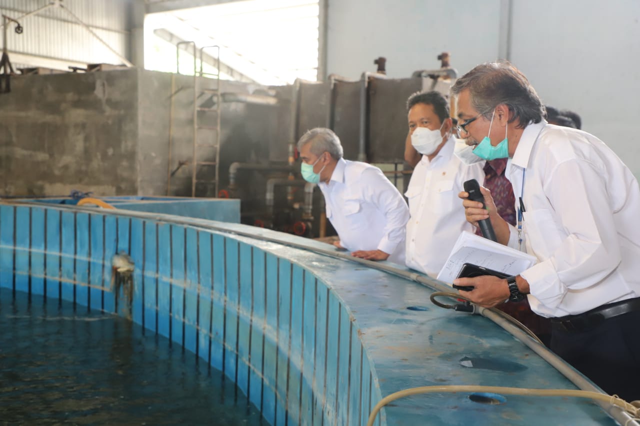 Menteri Kelautan dan Perikanan Sakti Wahyu Trenggono meninjau fasilitas berupa laboratorium, Hatchery Kerapu, Kakap, Lobster, Abalon, Teripang di Balai Riset Perikanan Budidaya Gondol Penyabangan, Gerokgak, Kabupaten Buleleng, Bali (20/1).