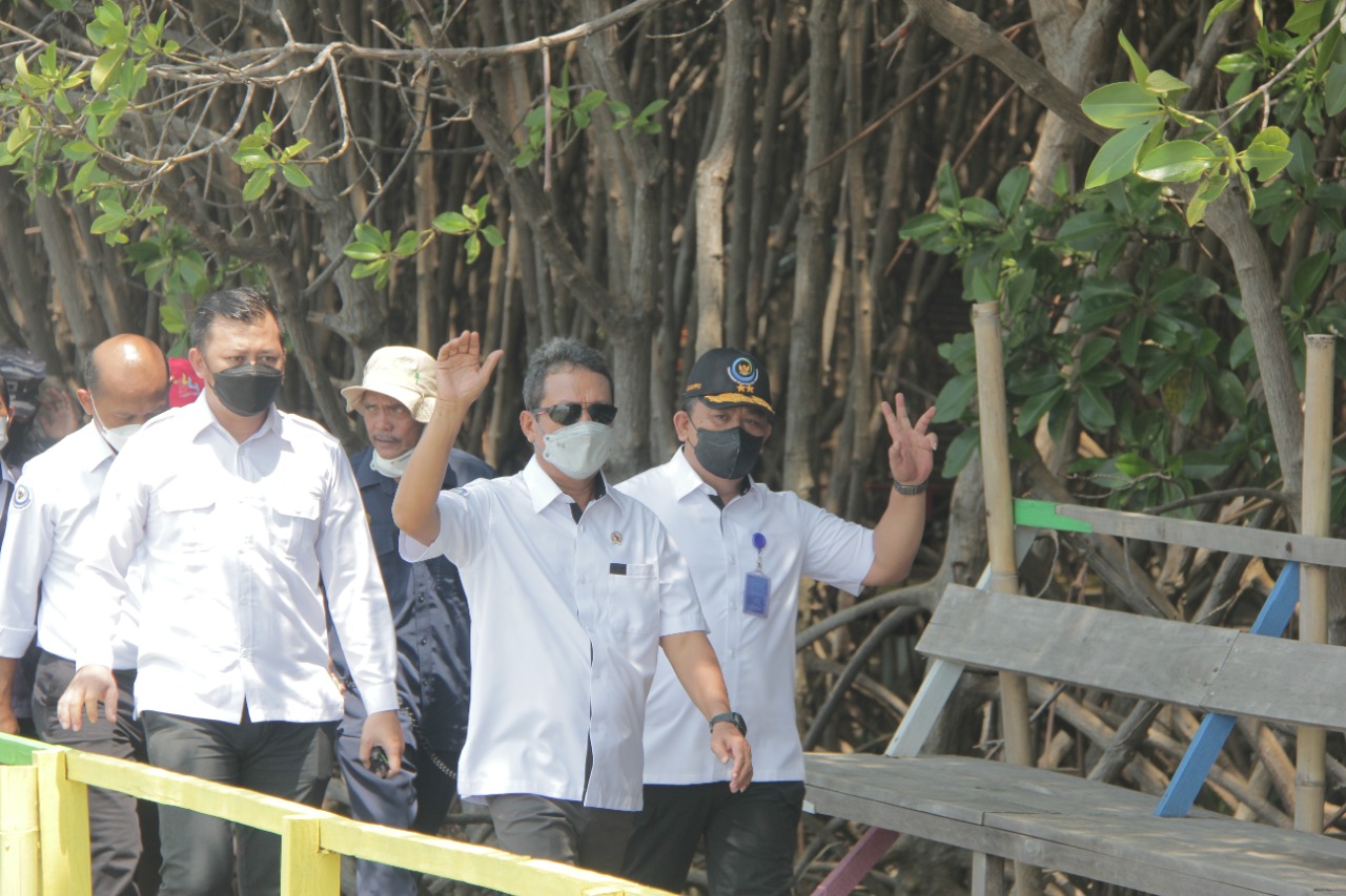 peninjauan menteri kelautan dan perikanan meninjau kawasan konservasi mangrove di Desa Kaliwlingi, Kabupaten Brebes, Provinsi Jawa Tengah, (19/4/2022).