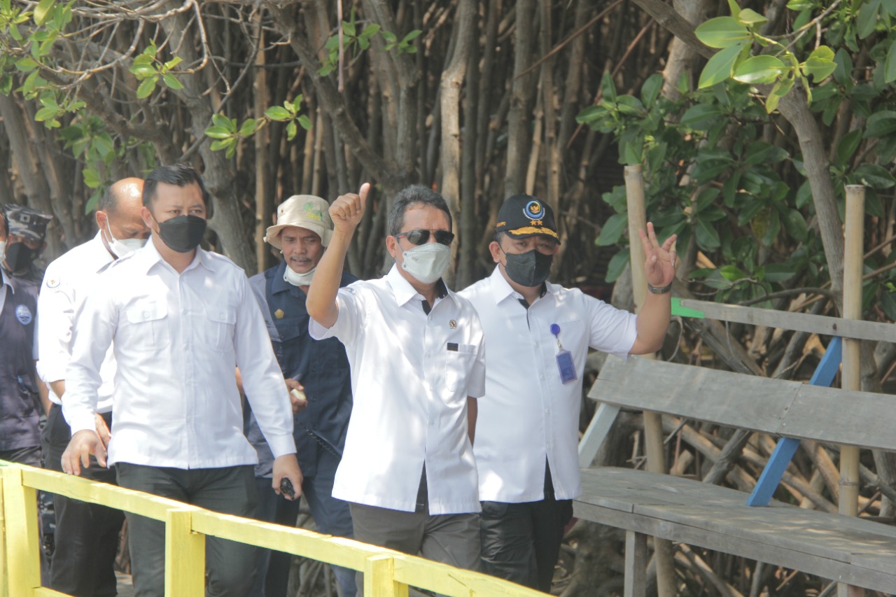 peninjauan menteri kelautan dan perikanan meninjau kawasan konservasi mangrove di Desa Kaliwlingi, Kabupaten Brebes, Provinsi Jawa Tengah, (19/4/2022).