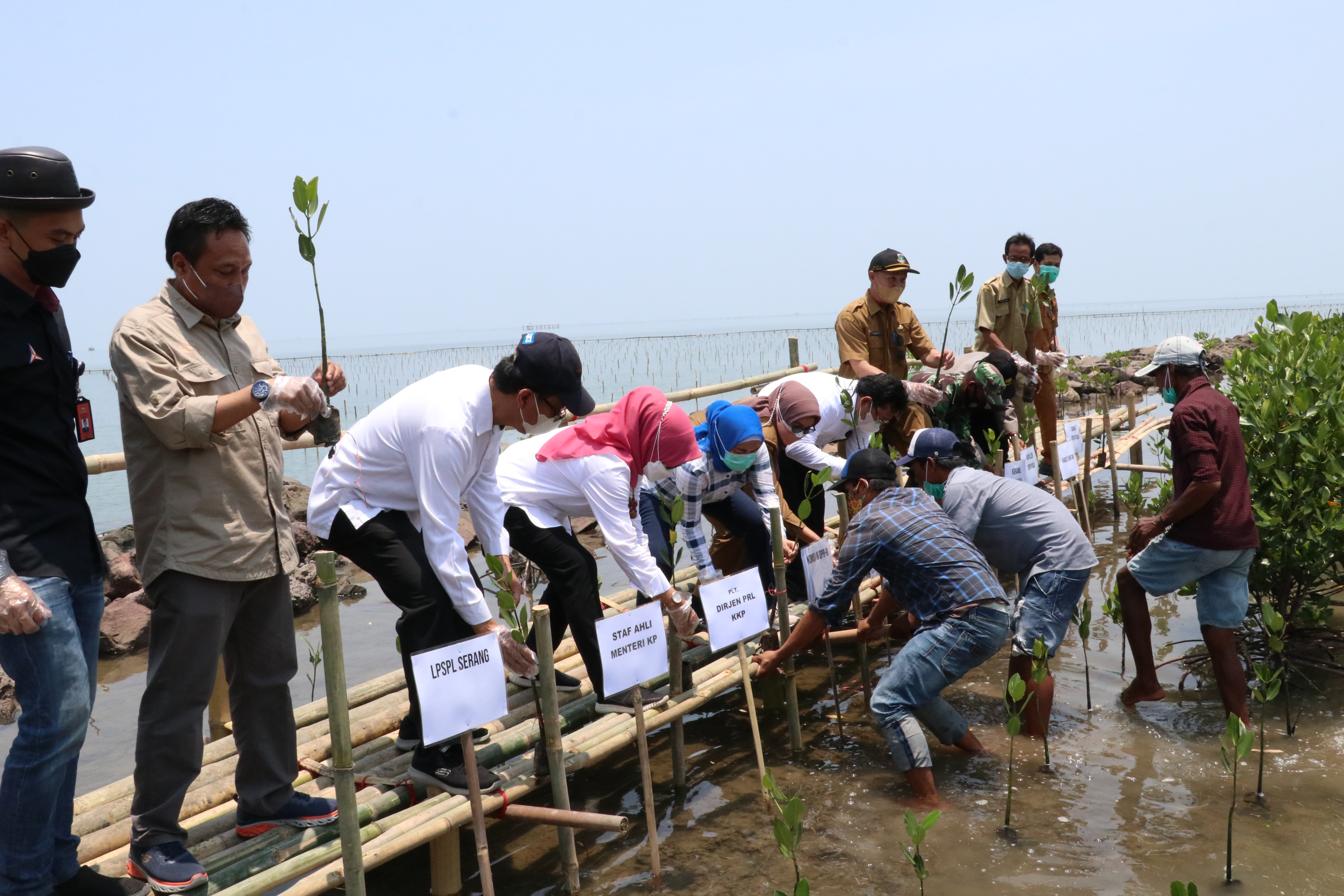 Launching Penanaman mangrove di Desa Lontar, Kec. Tirtayasa, Kab. Serang (12/10)