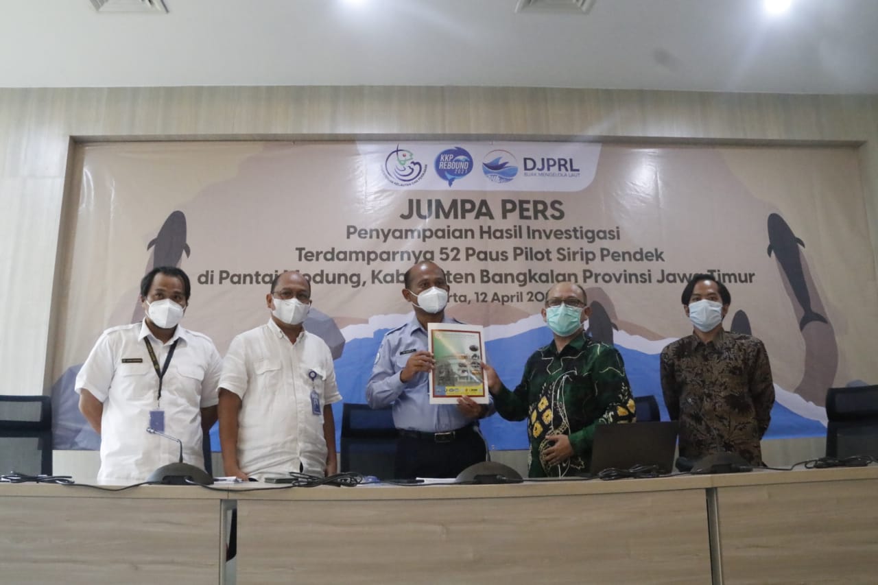 Jumpa Pers Hasil Investigasi terdamparnya 52 paus Pilot di Kab. Bangkalan Jawa Timur (12/4)