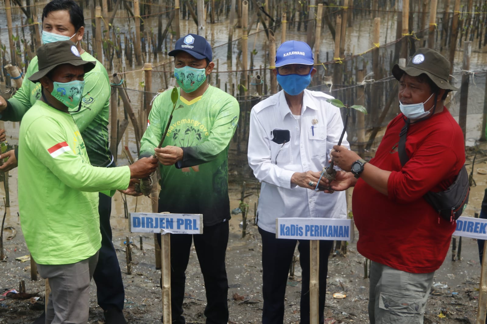 Penanaman Mangrove Di Kabupaten Karawang, Rabu (23/12)