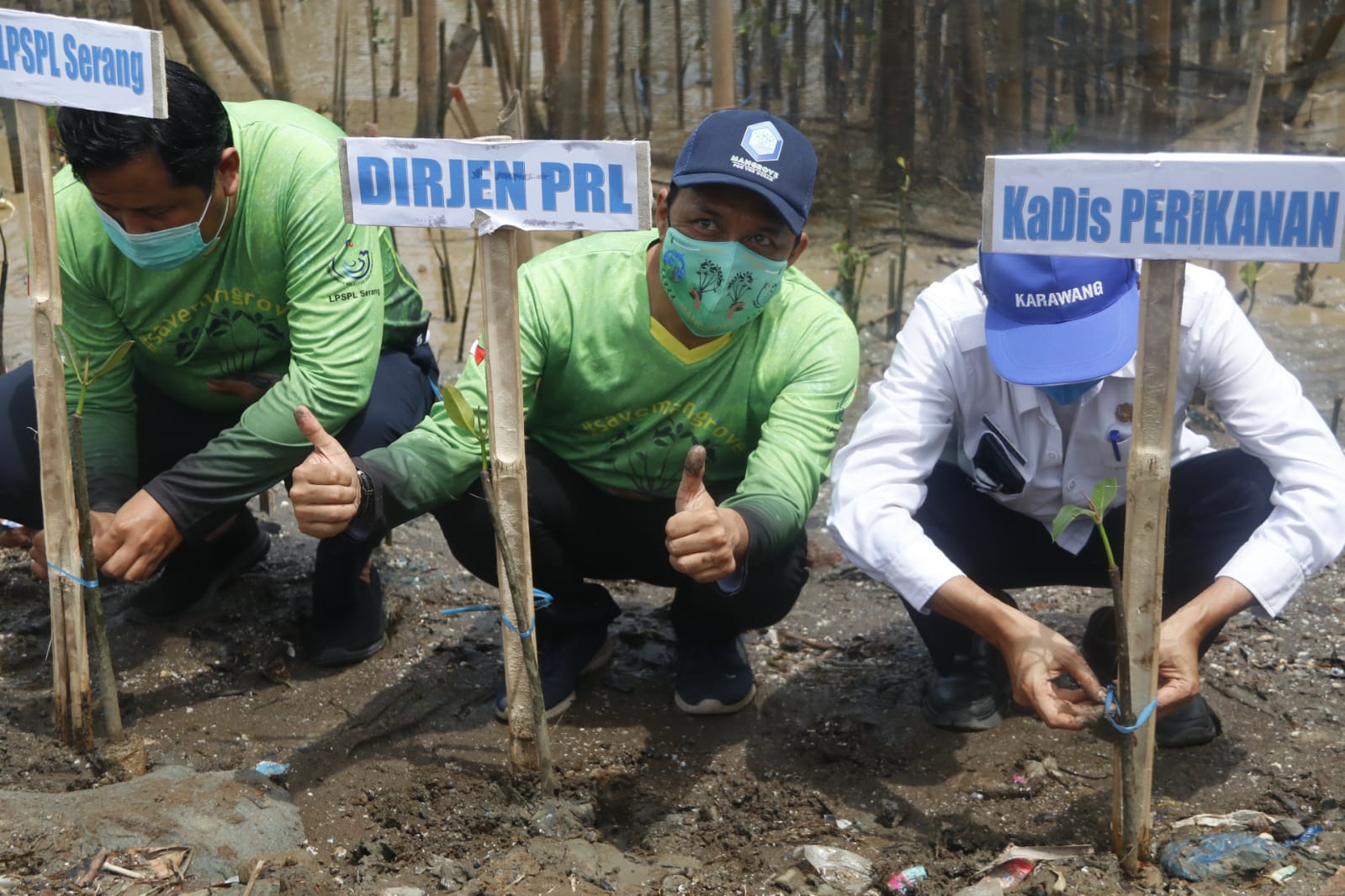 Penanaman Mangrove Di Kabupaten Karawang, Rabu (23/12)