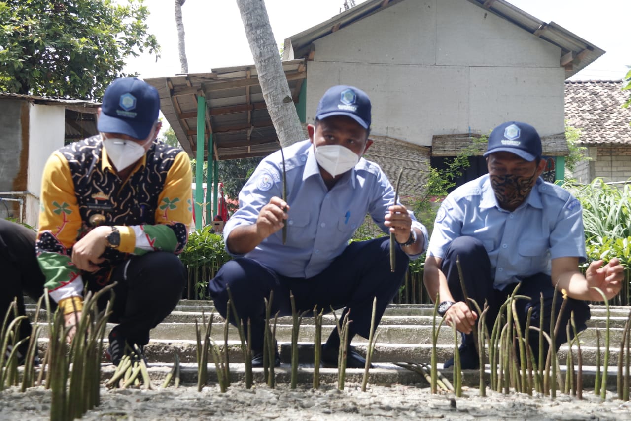 Kunker Plt. Dirjen PRL Ke Lokasi Penanaman Mangrove Di Lampung (17/12)