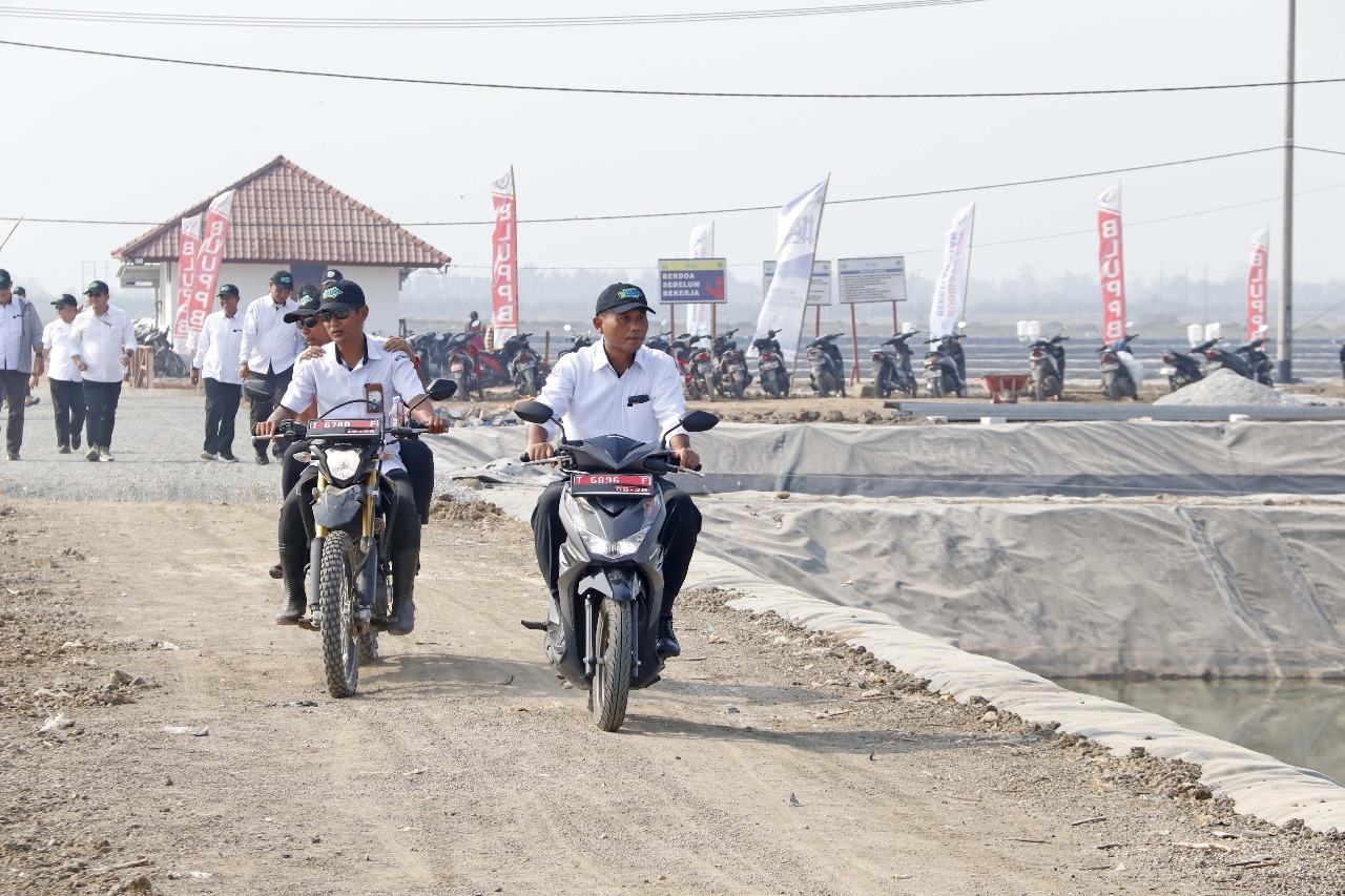 Dirjen PB Melakukan Peninjauan ke Lokasi Modelling Budidaya Ikan Nila Salin Berbasis Kawasan di Karawang