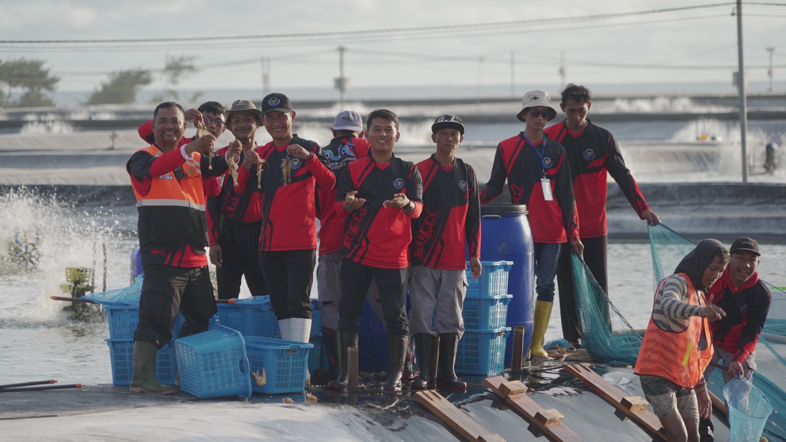 WAKIL PRESIDEN RI LAKUKAN PANEN UDANG DI BUBK KEBUMEN