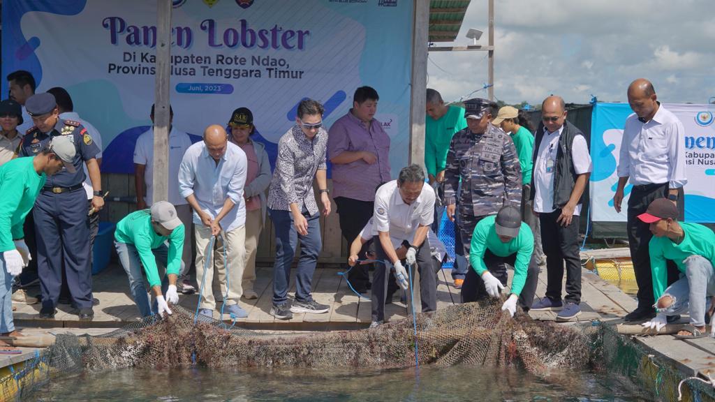 DIRJEN PB MENDAMPINGI MKP MELAKUKAN PANEN LOBSTER DI KABUPATEN ROTE NDAO