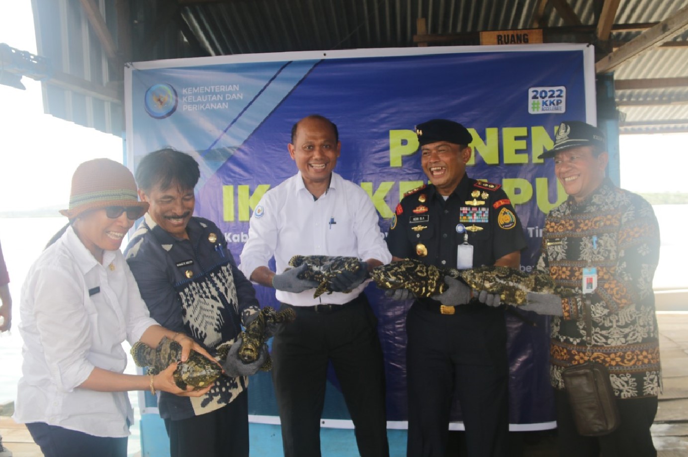 DIRJEN PB MELAKUKAN PANEN DI KAMPUNG BUDIDAYA KERAPU DI SEMAU NTT