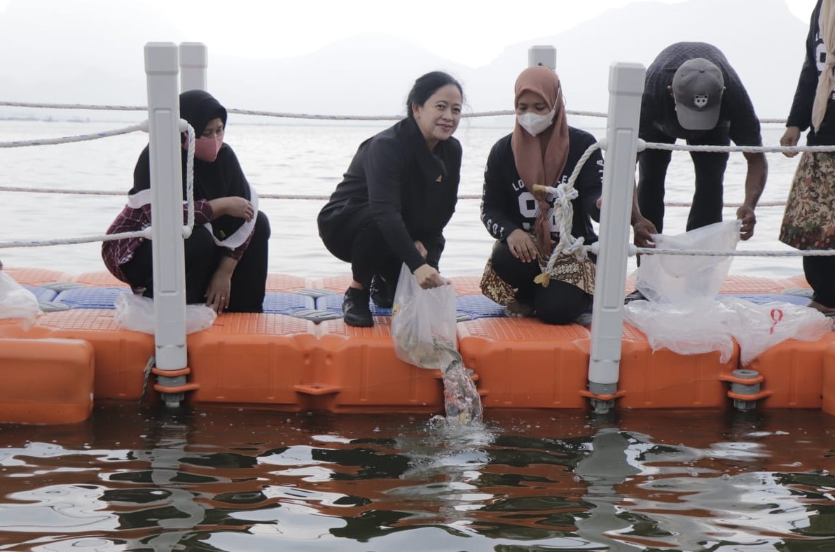 Ketua DPR RI melakukan penebaran benih ikan lokal di waduk jatiluhur