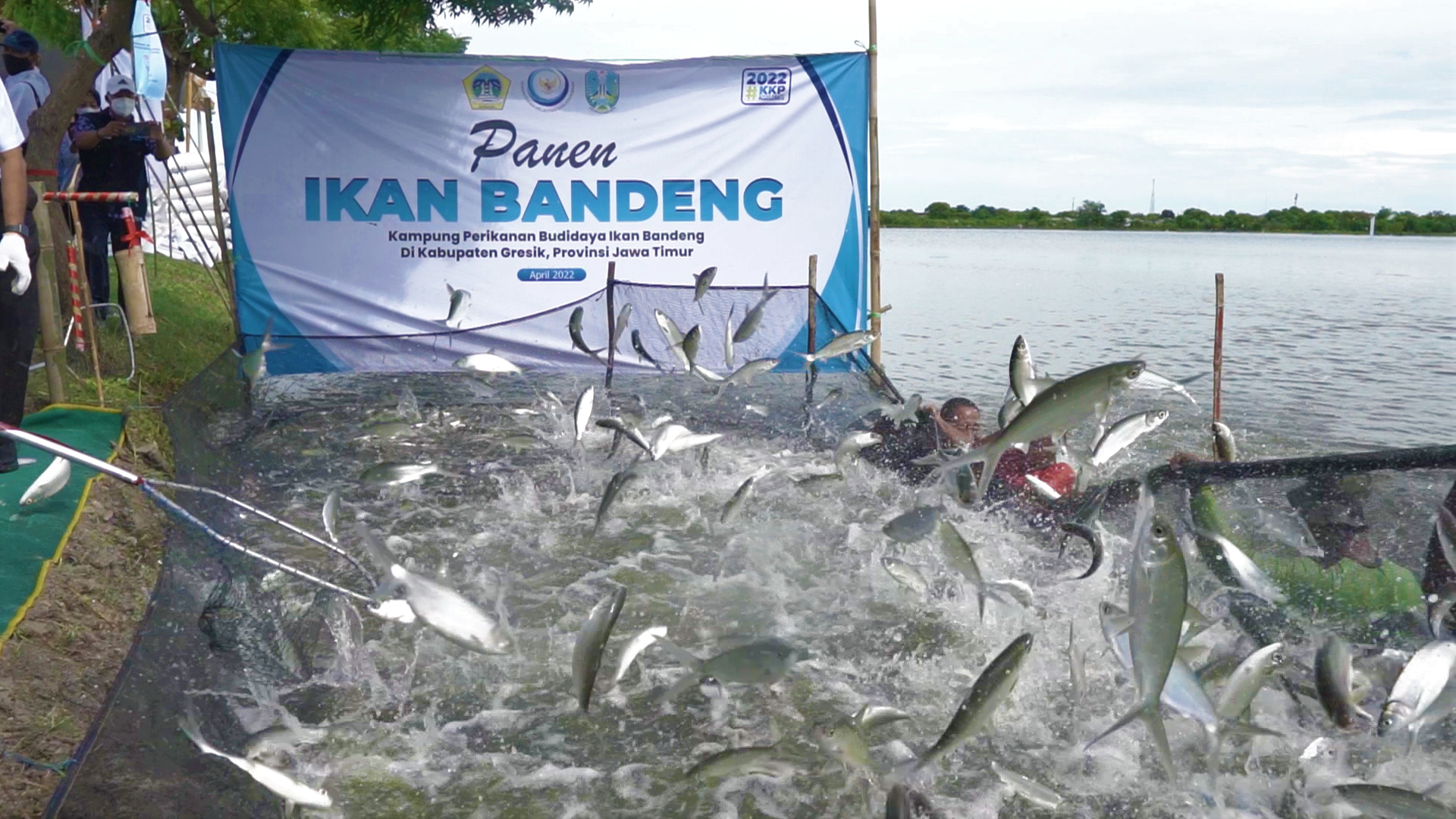 Dirjen PB mendampingi Menteri Kelautan dan Perikanan meresmikan Kampung Budidaya Bandeng di Gresik