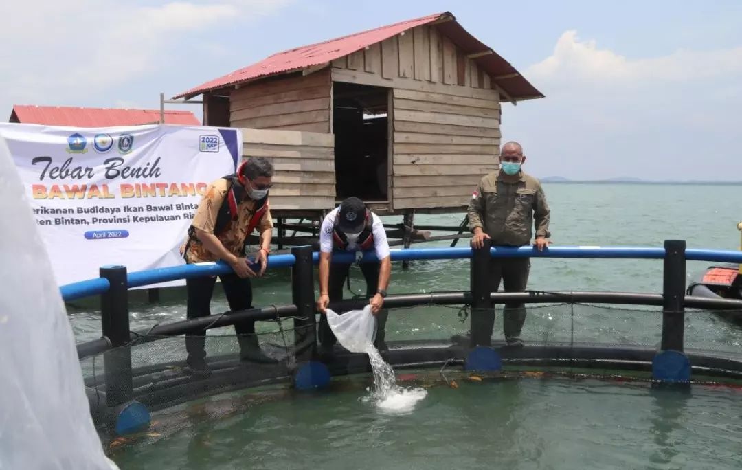 Dirjen PB mencanangkan 5 kampung perikanan budidaya di Kepulauan Riau (02/04/22)