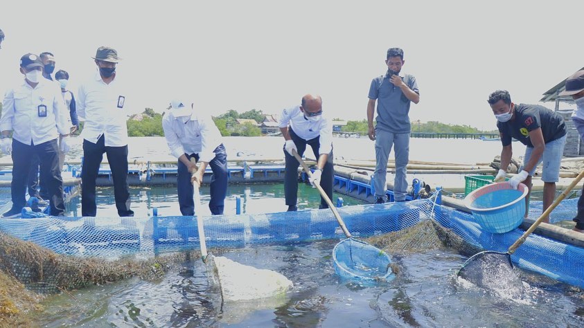 Dirjen PB meresmikan kampung perikanan budidaya lobster di Kab. Lombok Timur (26/03/22)