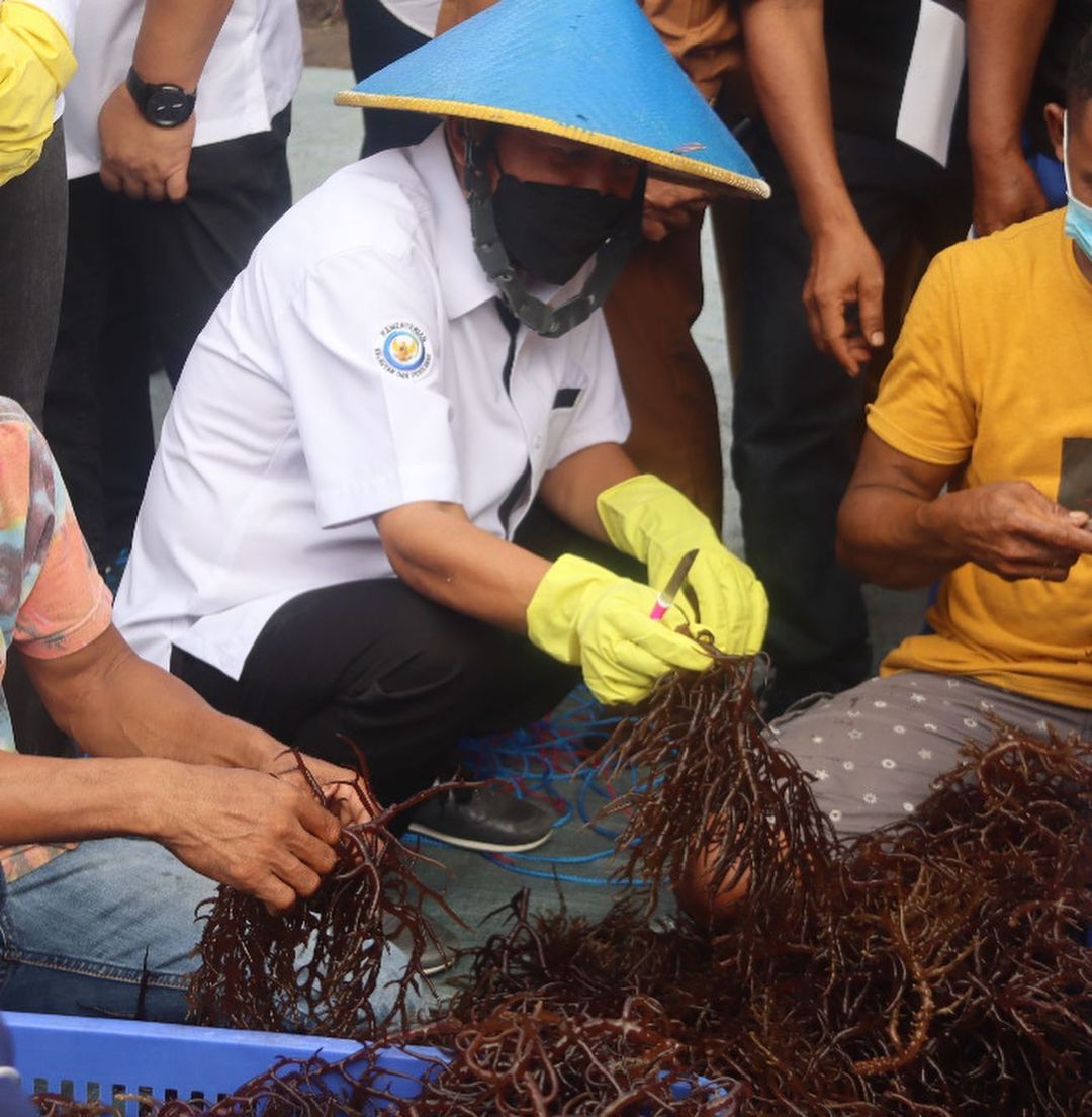 MKP meninjau budidaya rumput laut di perairan Jaiololo, Kab. Halmahera Barat (07/03/2022)