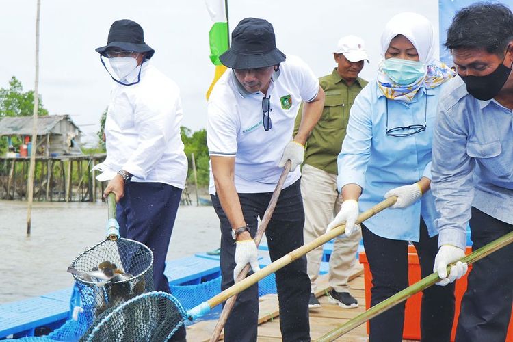 Panen dan Tebar Benih Ikan Kakap Putih di Kepulauan Meranti (27/02/2022)