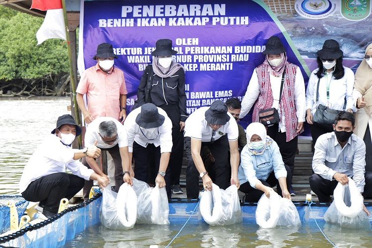 Panen dan Tebar Benih Ikan Kakap Putih di Kepulauan Meranti (27/02/2022)