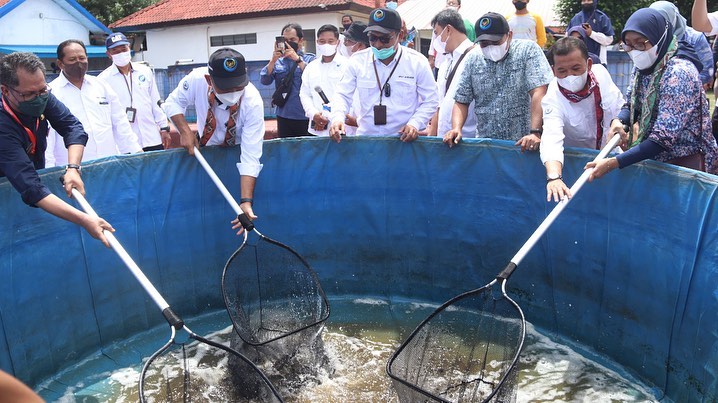 Kunjungan Kerja Dirjen PB di BPBAT Mandiangin (8/1/22)