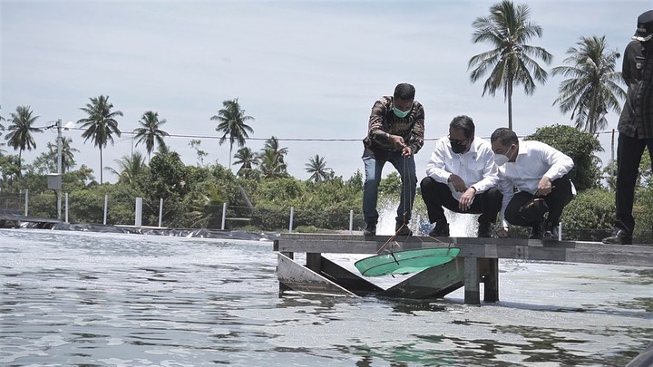 Kunjungan Kerja Menteri di Klaster Tambak Udang Vaname Kabupaten Aceh Timur (7/9/21)