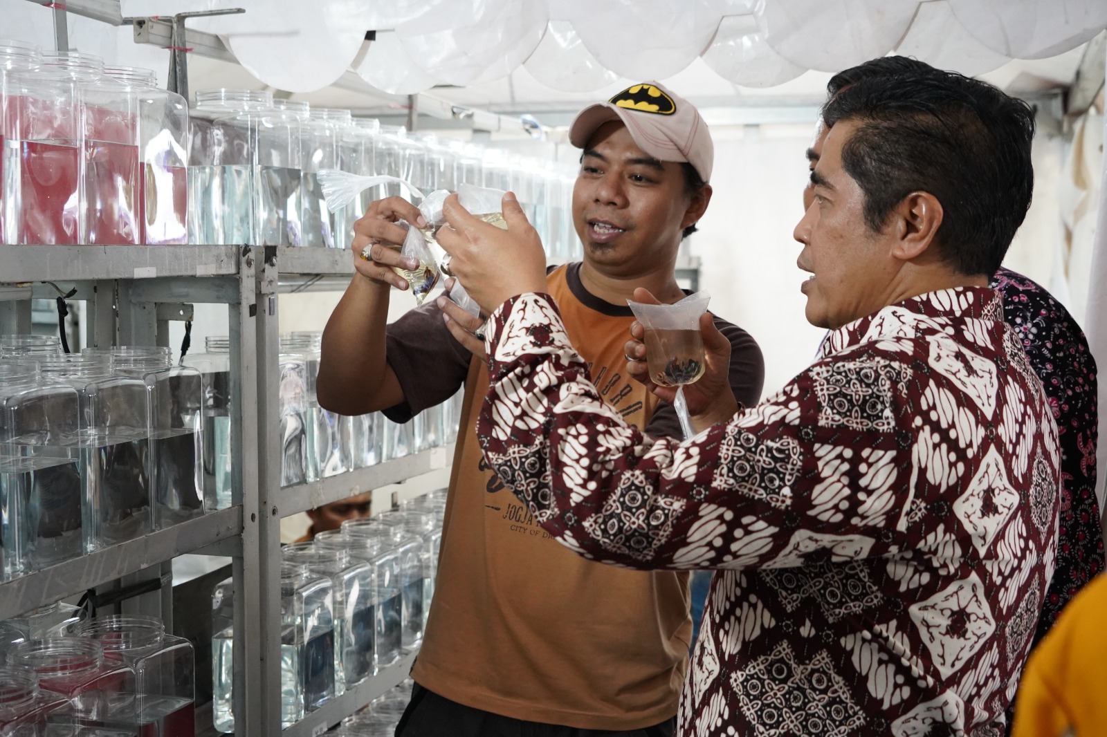 Festival Ikan Hias Nusantara