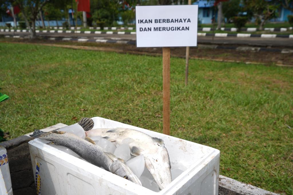 Pembagian ikan konsumsi kepada masyarakat dalam rangka ”Bulan Bhakti Kelautan dan Perikanan” dan pemusnahan barang hasil pengawasan sumber daya perikanan