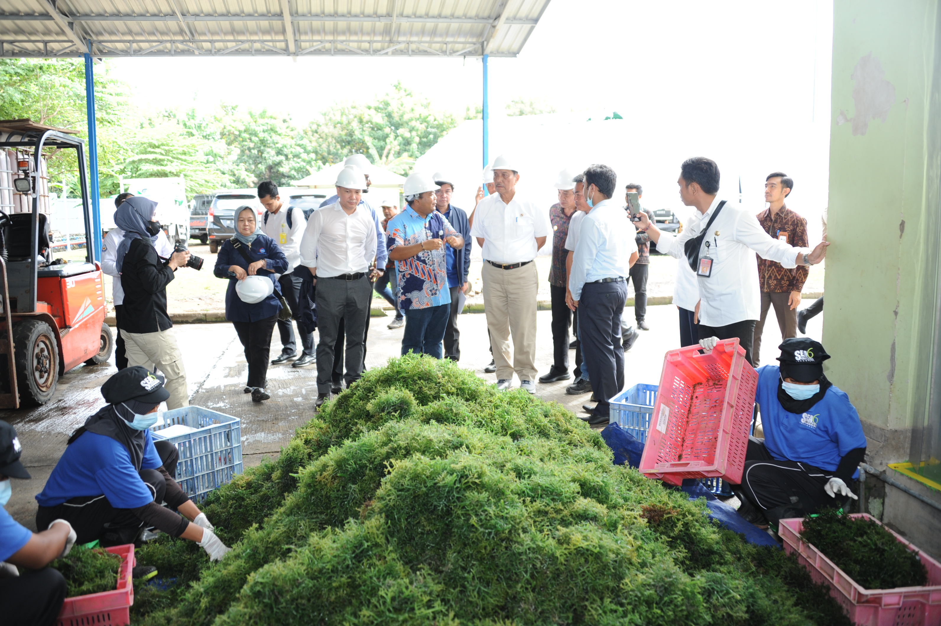 Kunjungan Kerja Dirjen PDS bersama MEnko Marvest di Buleleng, Provionsi Bali