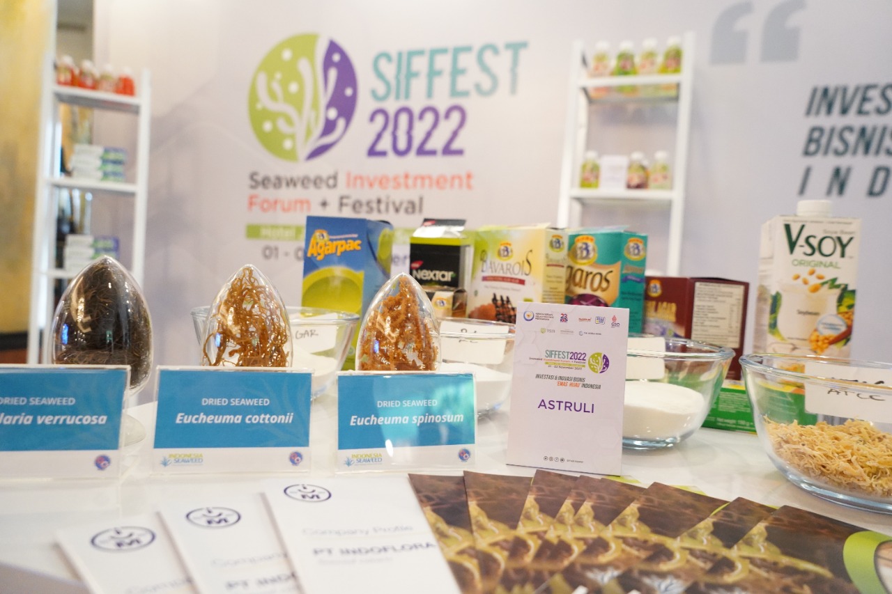 Seaweed Investment Forum + Festival