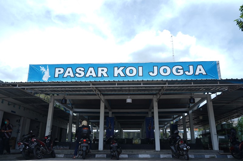 Pasar Koi Yogya