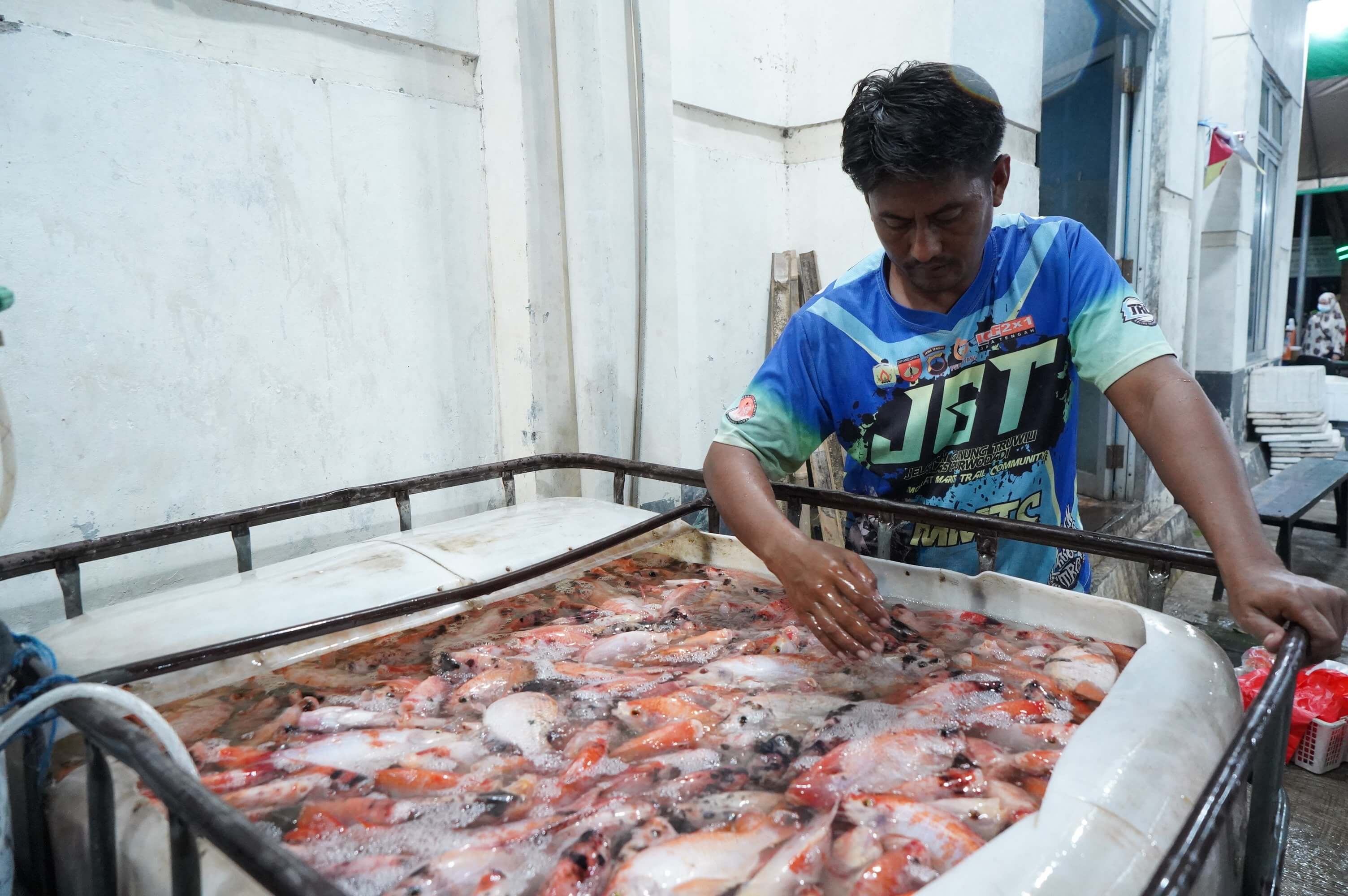 Pasar Ikan Balekambang, Surganya Pecinta Ikan Segar di Solo