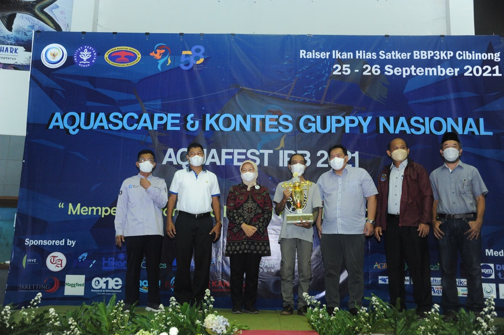 Aquascape dan Kontes Ikan Guppy Nasional