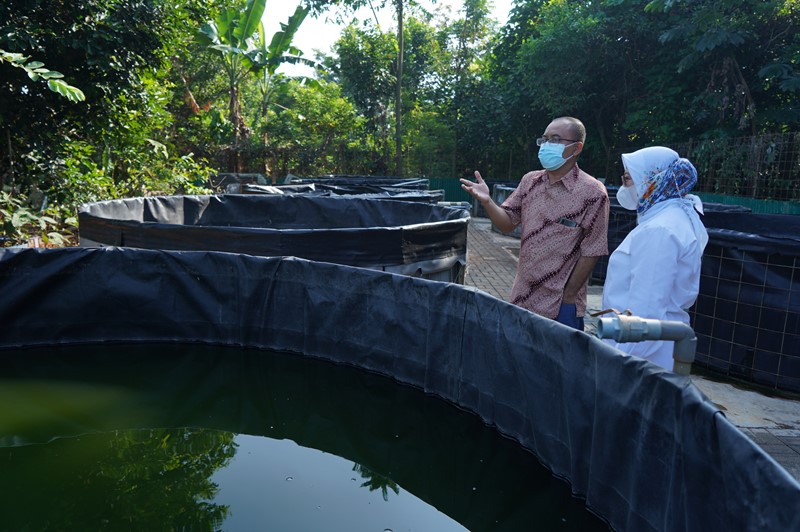 Kunjungan Ke PT. Kurnia Mitra Makmur di Kabupaten Purwakarta