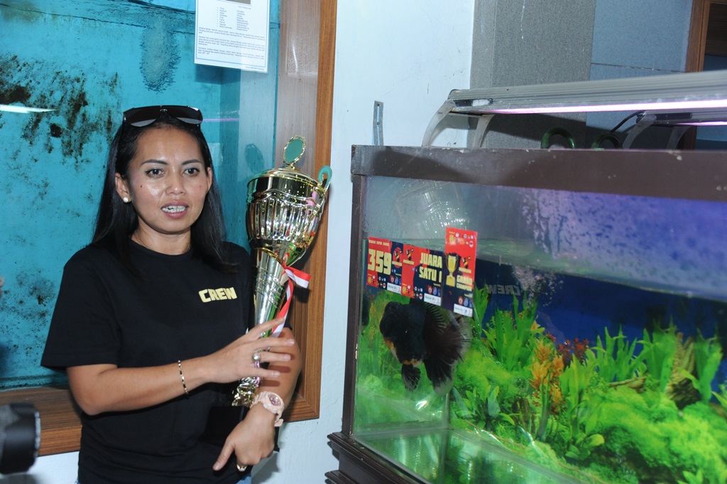 4th Indonesia Gold Fish League di Raiser Ikan Hias Satker BBP3KP Cibinong