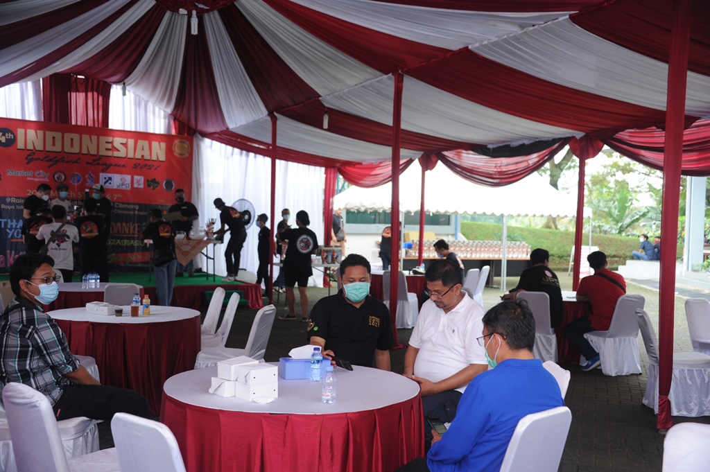 4th Indonesia Gold Fish League di Raiser Ikan Hias Satker BBP3KP Cibinong