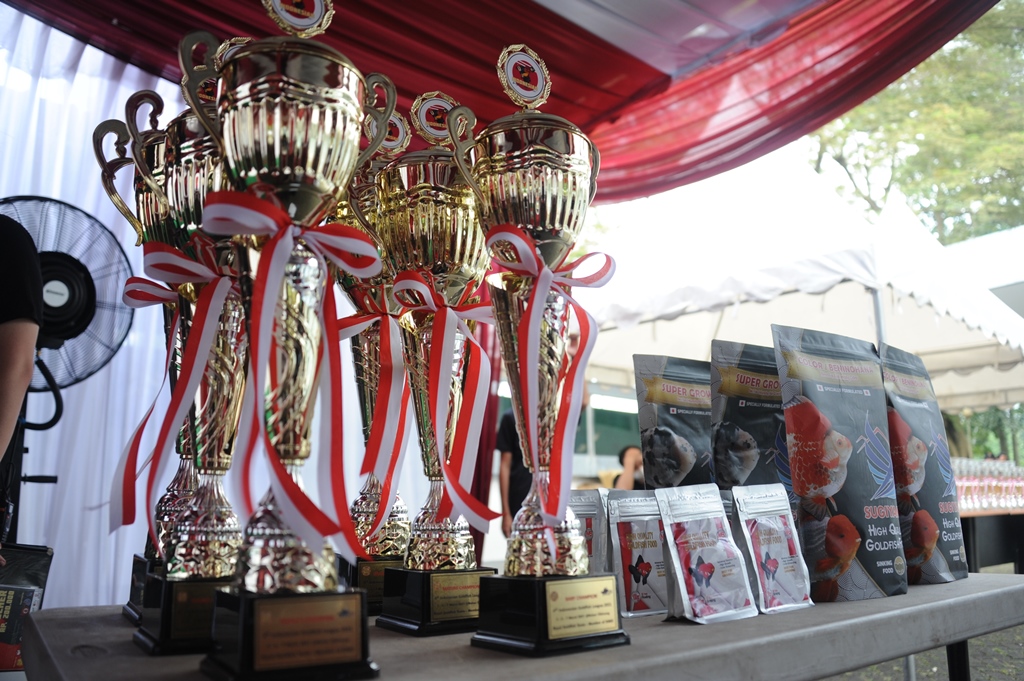 4th Indonesia Gold Fish League di Raiser Ikan Hias Satker BBP3KP Cibinong