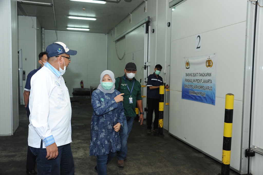 Kunjungan Kerja Dirjen PDS ke Cold Storage di Muara Baru