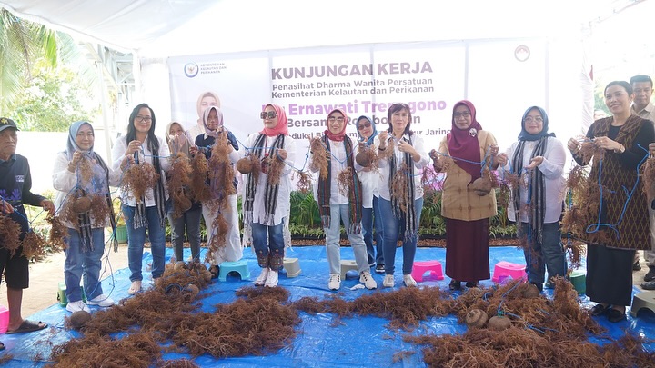 Kunjungan Penasihat Dharma Wanita Persatuan KKP bersama rombongan ke lokasi Modeling Budi Daya Rumput Laut di Wakatobi