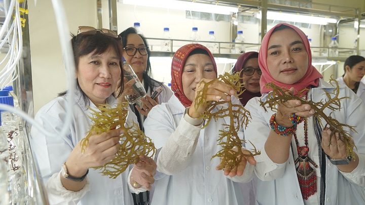 Kunjungan Penasihat Dharma Wanita Persatuan KKP bersama rombongan ke lokasi Modeling Budi Daya Rumput Laut di Wakatobi