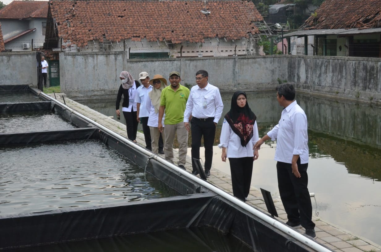 Tinjau SFV UPT Budidaya Ikan Air Tawar di Cibalagung