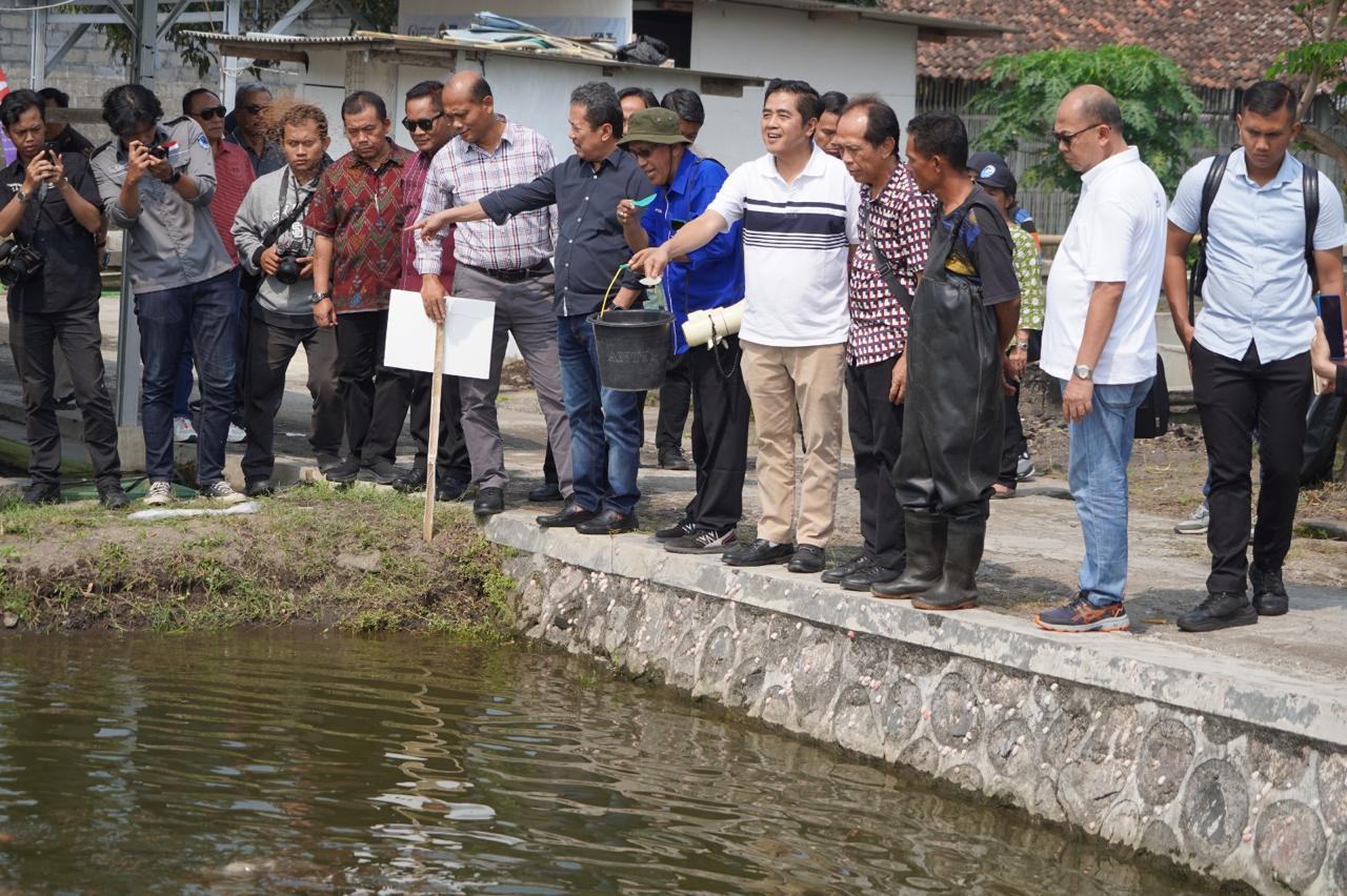 Komitmen Pengembangan Tilapia