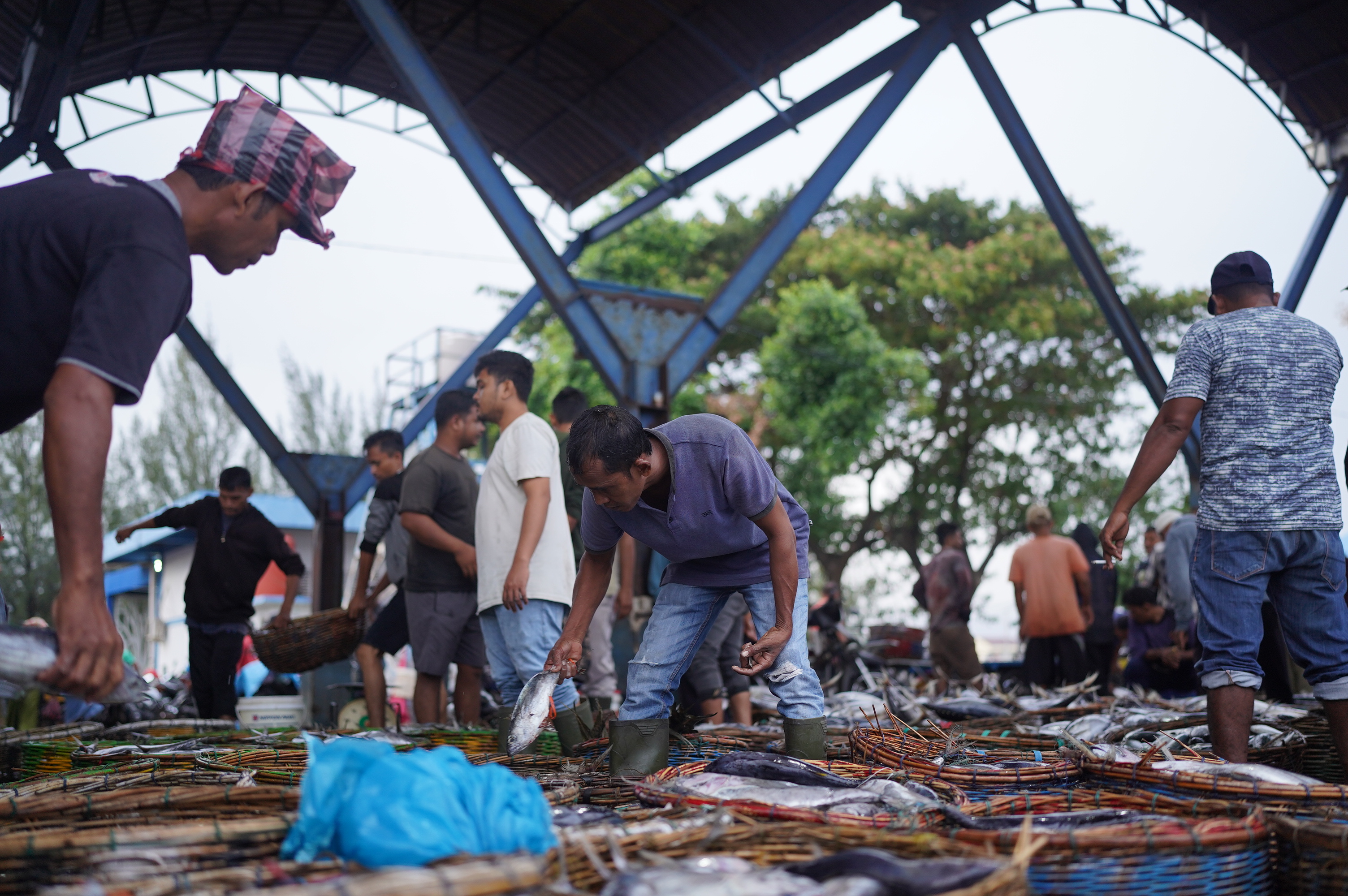 Harga Ikan di Aceh Stabil