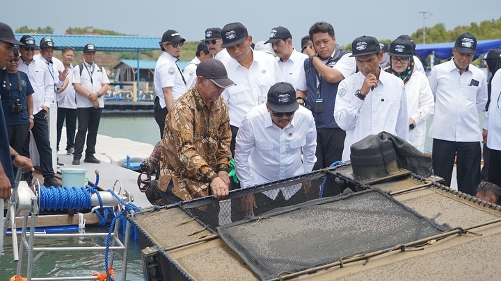 Peresmian Modeling Budidaya Lobster di Batam