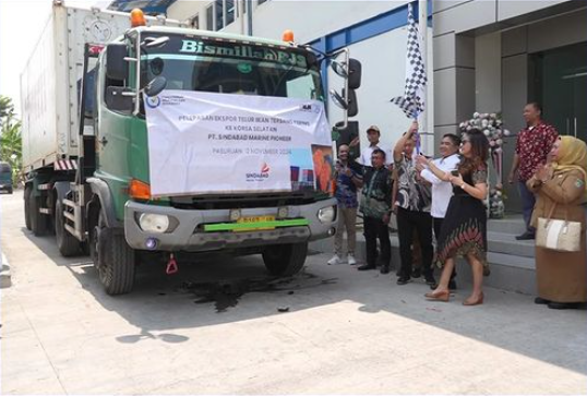 Telur Ikan Terbang Tembus Pasar Eskpor